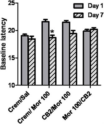 Modulation of Morphine Analgesia, Antinociceptive Tolerance, and Mu-Opioid Receptor Binding by the Cannabinoid CB2 Receptor Agonist O-1966